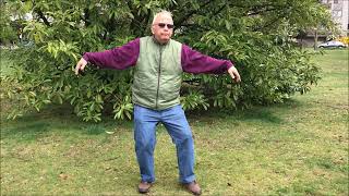 Hui Chun Yidan (Return to Spring) Qigong by Ricardo B Serrano
